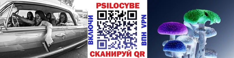 Галлюциногенные грибы Psilocybine cubensis  Тимашёвск 